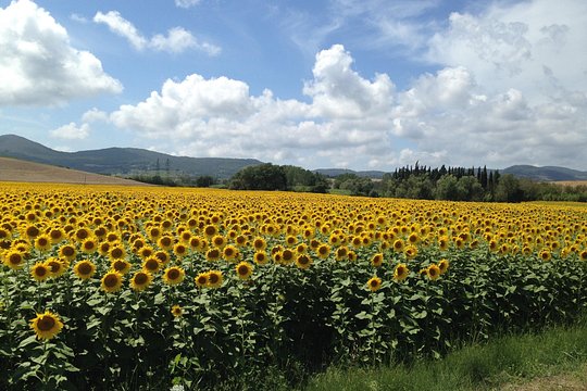 Tour image 8