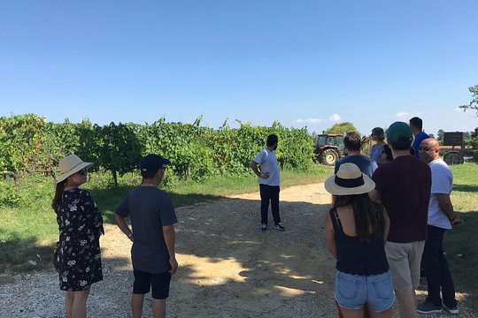Tour image 2