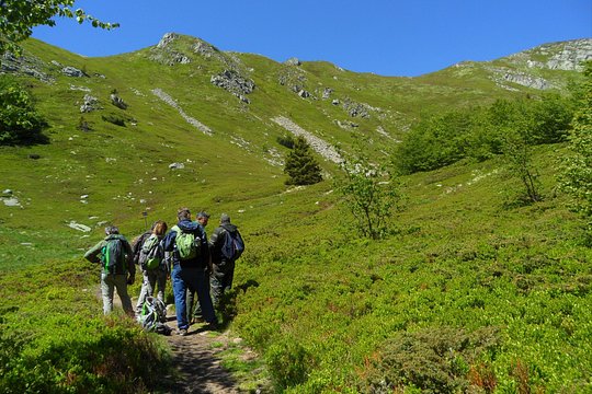 Tour image 4