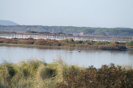 Tour image 4