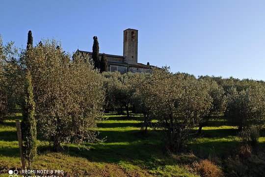 Tour image 11