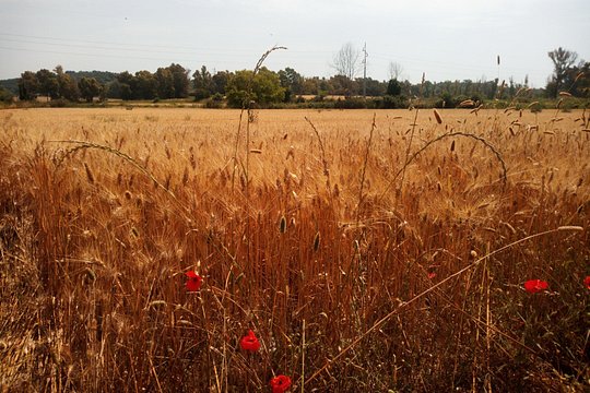 Tour image 6