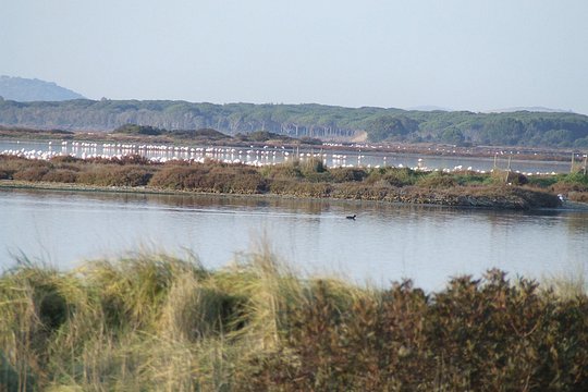 Tour image 9