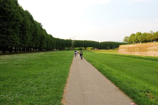 Tour image 6