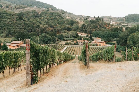 Tour image 6