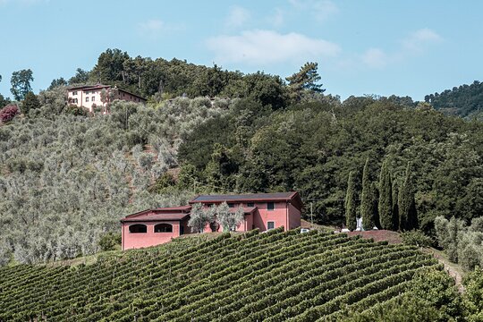 Tour image 3