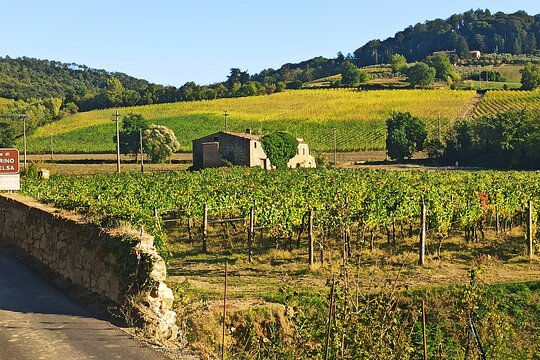 Tour image 5