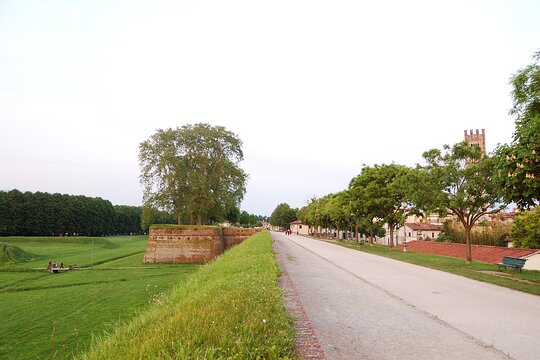 Tour image 5