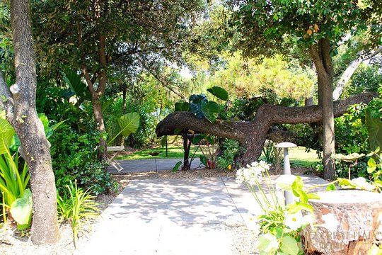 Tour image 7