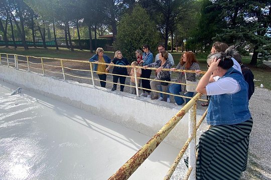 Tour image 5