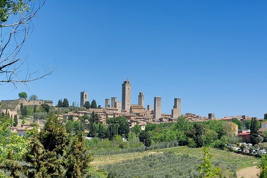 Tour image 11