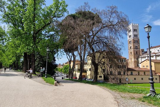 Tour image 3